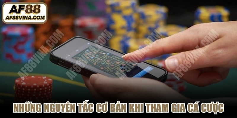 Những nguyên tắc cơ bản khi tham gia cá cược