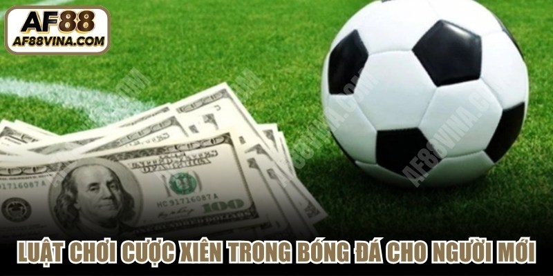 Luật chơi cược xiên trong bóng đá dành cho người mới