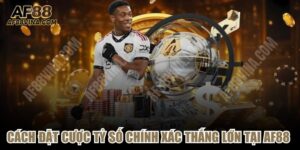 Cách Đặt Cược Tỷ Số Chính Xác