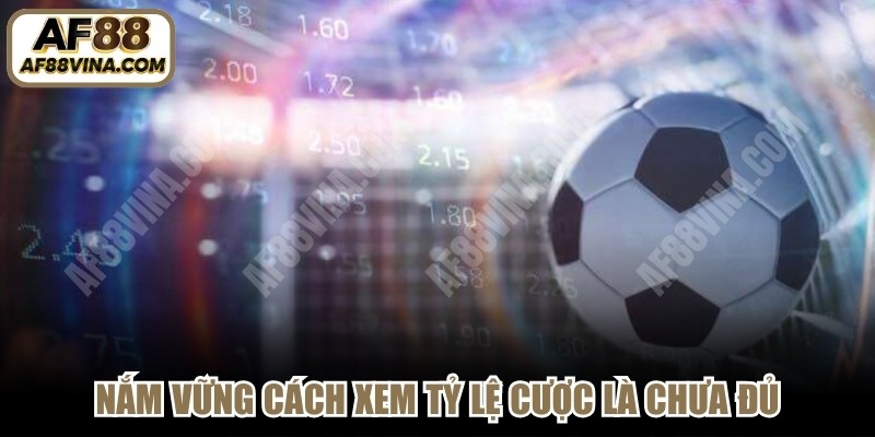 Nắm vững cách xem tỷ lệ cược là chưa đủ, bạn cần phải đánh giá nhiều yếu tố 