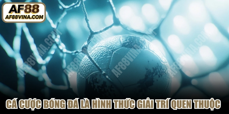 Cá cược bóng đá là hình thức giải trí quen thuộc hiện nay 