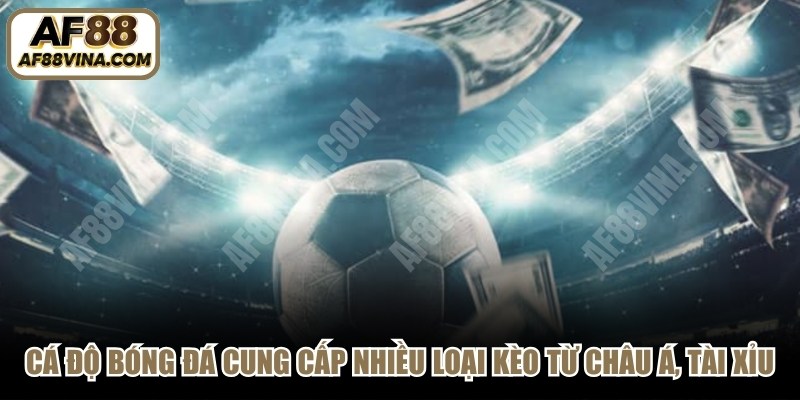 Cá độ bóng đá cung cấp nhiều loại kèo từ châu Á, tài xỉu, châu Âu 