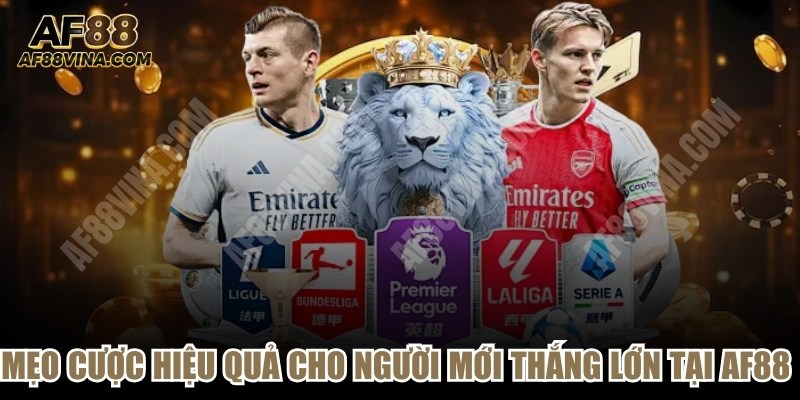 Mẹo Cược Hiệu Quả Cho Người Mới